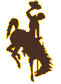 Wyo Cowboy