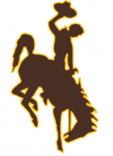 Wyo Cowboy