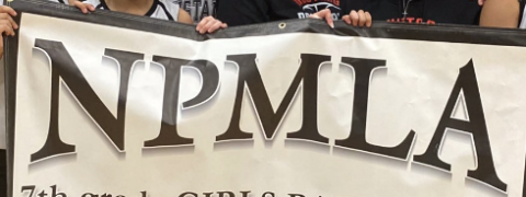 NPMLA