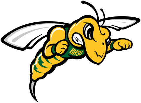 BHSU