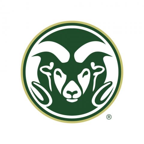 Rams